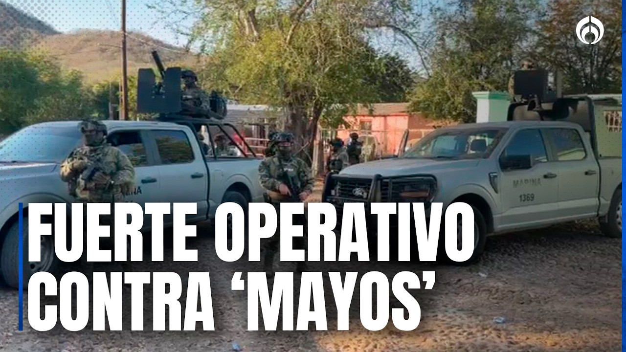 ¿Por qué liberaron a la hija de ‘El Mayo’ Zambada luego de detenerla en Sinaloa?