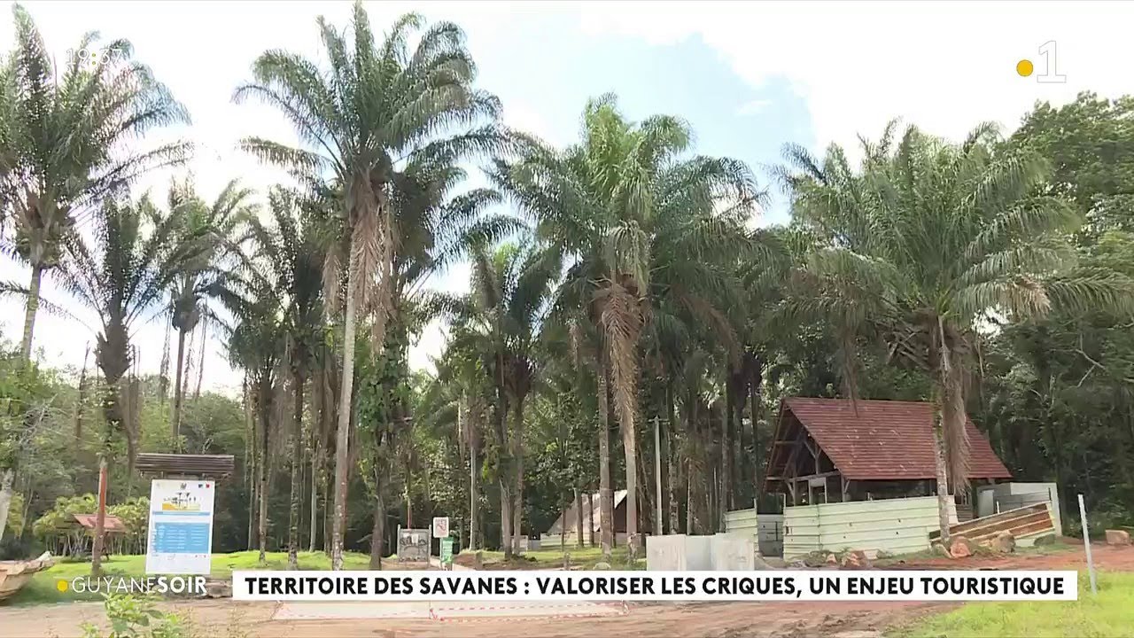 Territoire des savanes: valoriser les criques, un enjeu touristique