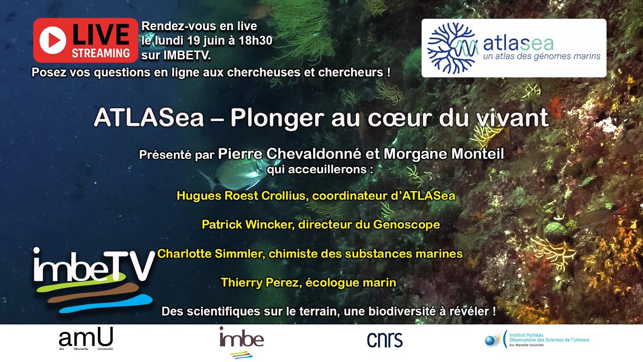 Atlasea: plonger au coeur du vivant. 1ᵉ émission en direct – jeudi 19 juin 2025 18h30 1/3