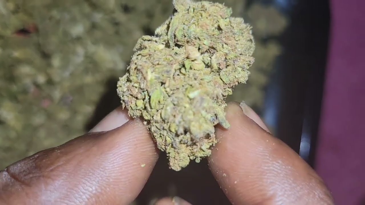 Paid 128 dollars for half pound of Cinderella 99 thca small buds