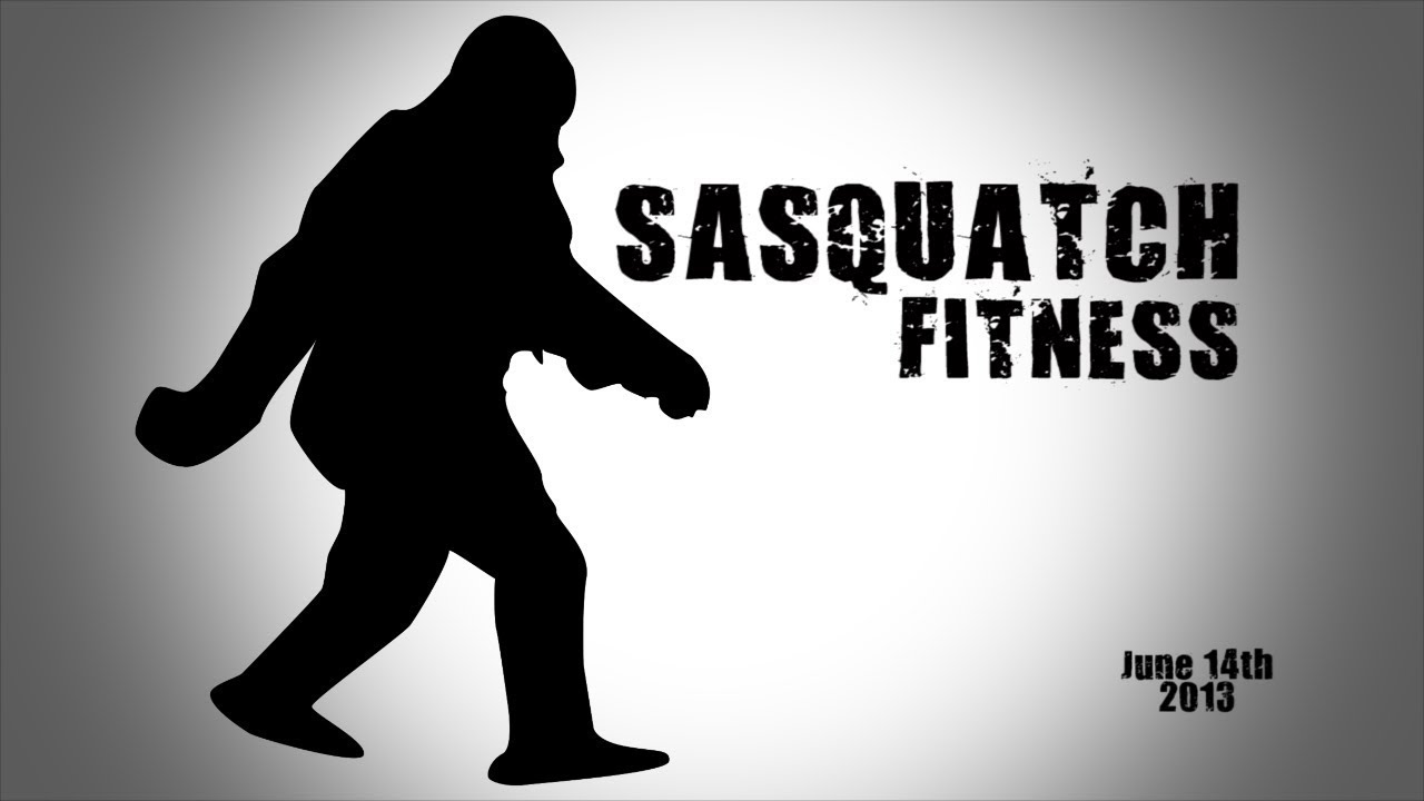 Calisthenics Workout JUN 14th 2013   Jasons Workout Log