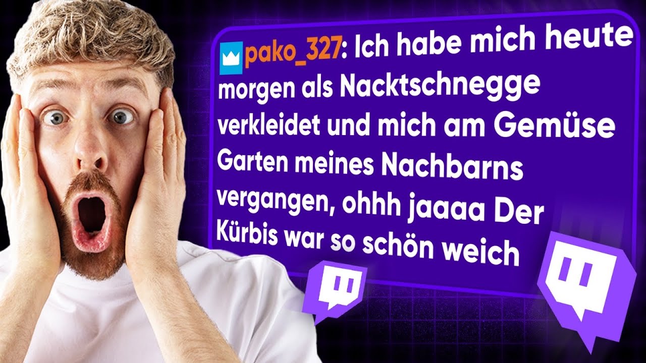 Die VERST&Ouml;RENDEN Nachrichten aus meinem TWITCH CHAT
