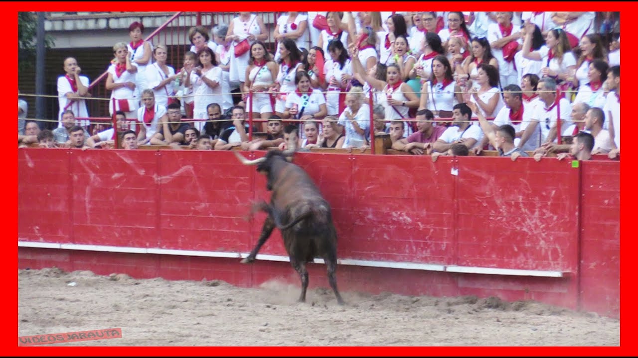 CAPARROSO ( NAVARRA ) TARDE VACAS CALLE Y PLAZA ( LUNES 4 SEPTIEMBRE 2023 ) GANAD.ARRIAZU