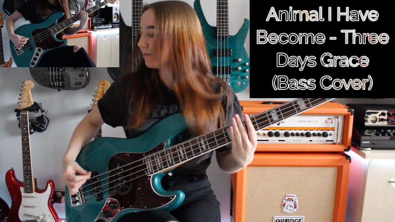 Animal I Have Become - Three Days Grace (Bass Cover)