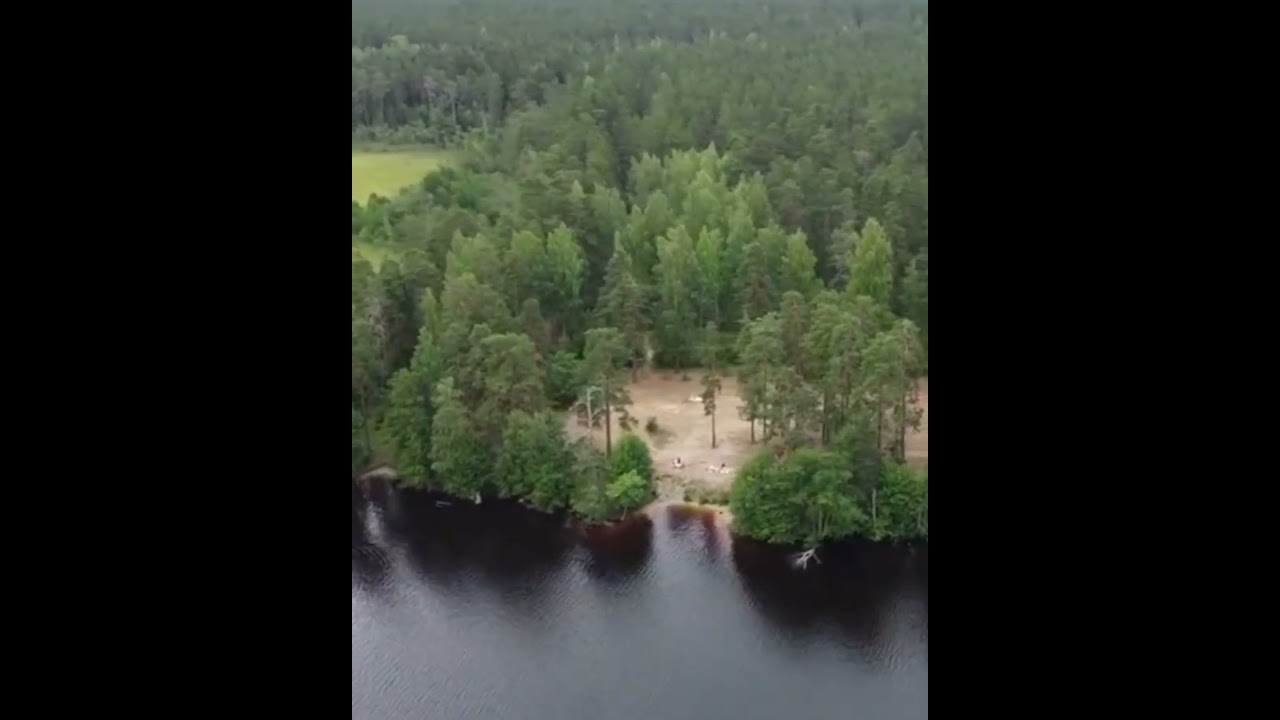 Звучала гитара.  Авторская работа. 