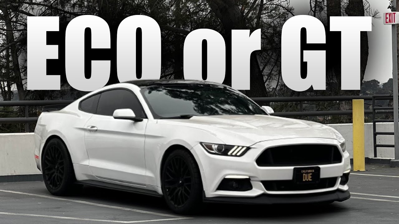 Why I Chose a Mustang EcoBoost Over a GT! POV DRIVE + 20K Mile Review 🚘🔥