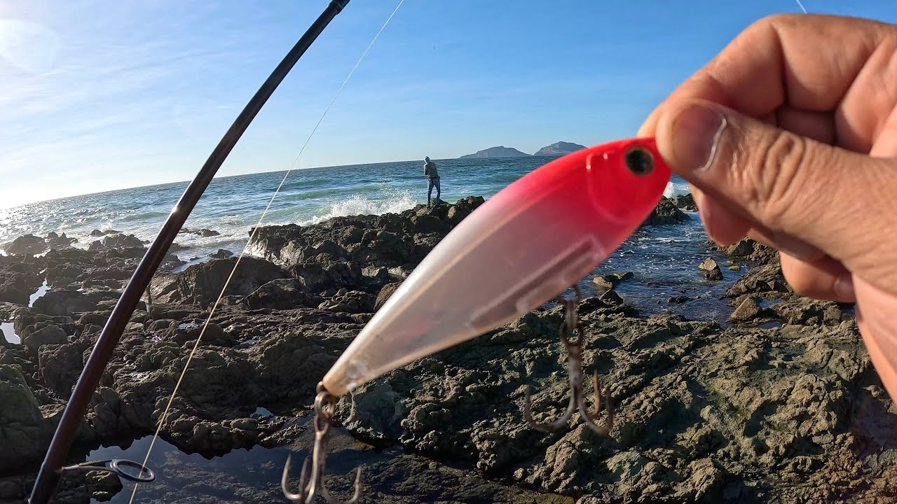 PESCA en ZONA de ROCAS🎣// PEZ ME SORPRENDI&Oacute; Y ESTO PASA!!