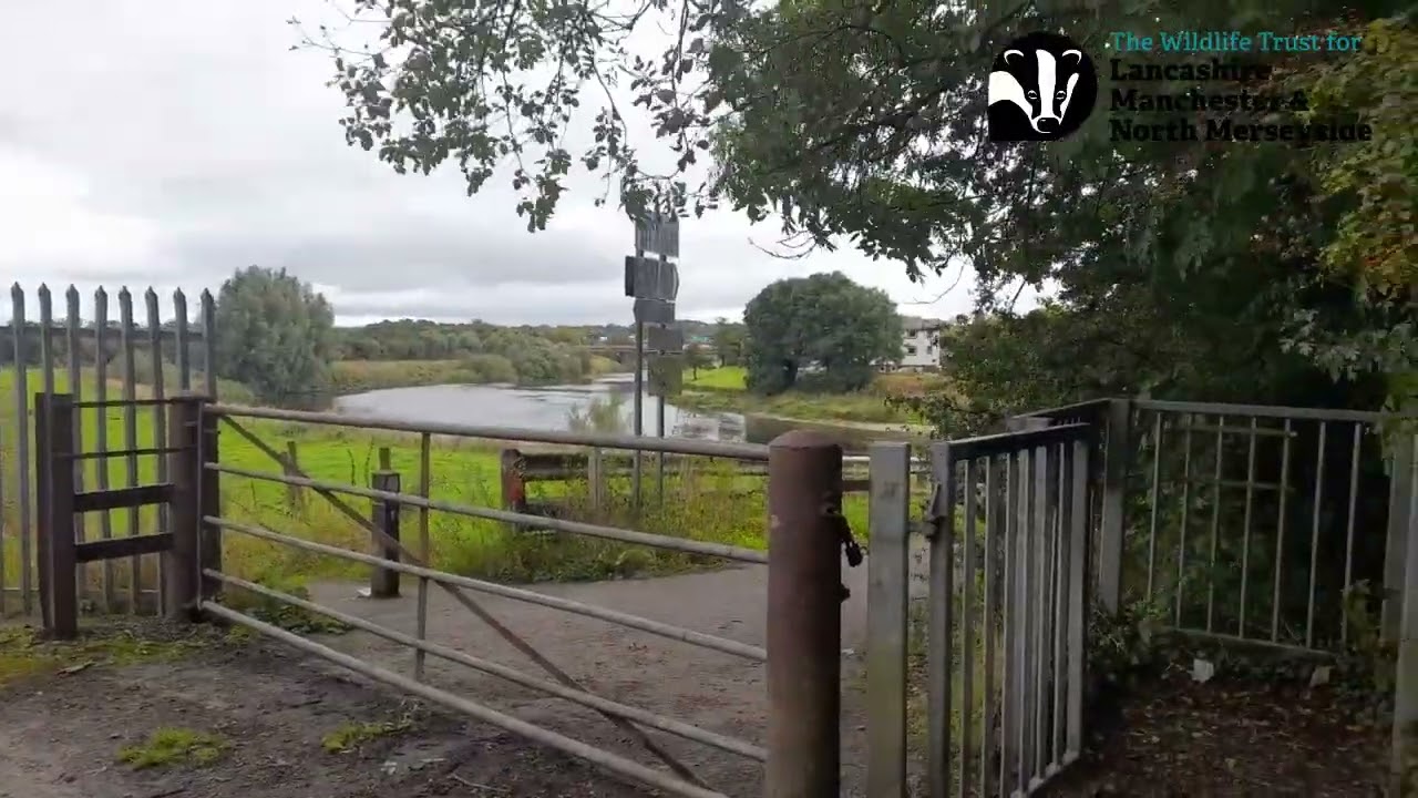 How to get to Brockholes from the Tickled Trout bus stop