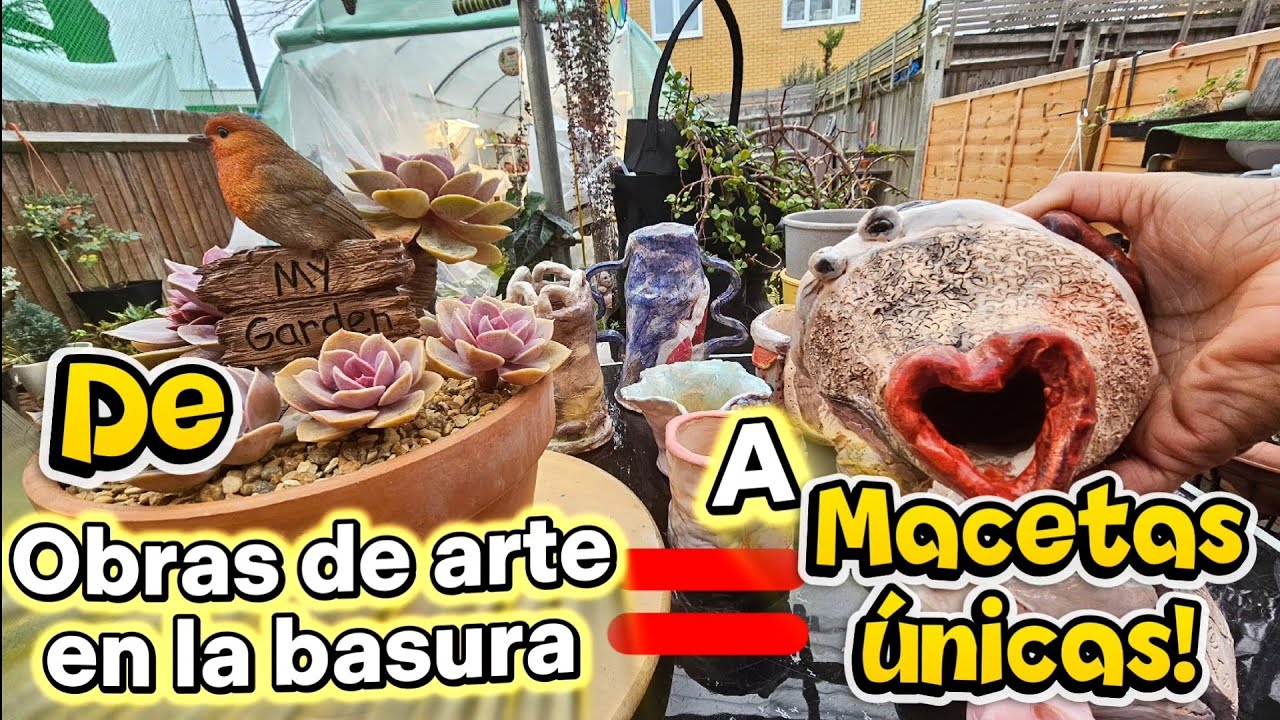 TRASPLANTE♻️Reciclando obras de arte #suculentas #macetas #trasplantes #reciclar 