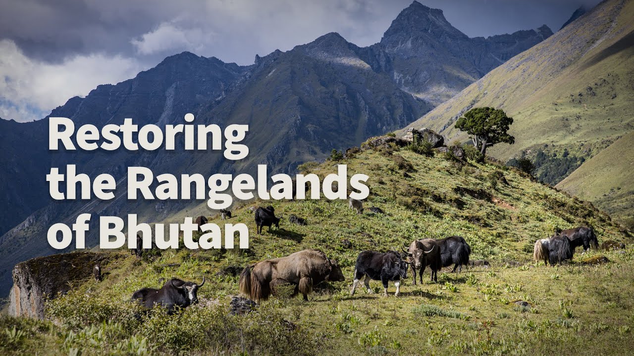 Restoring the Rangelands of Bhutan