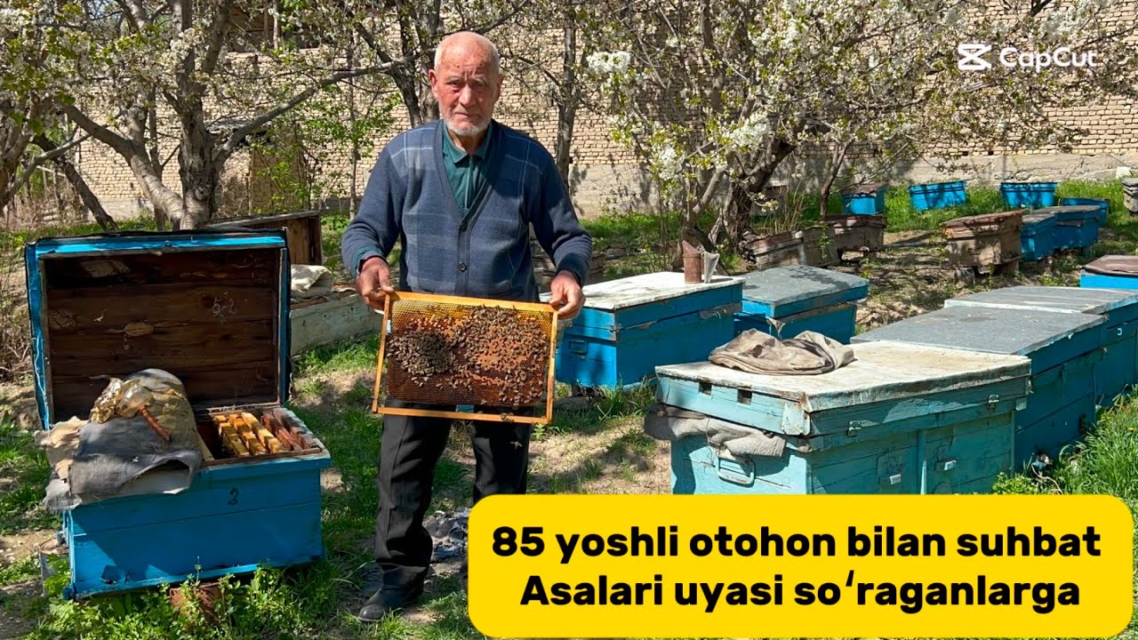 Asalari boqayotgan 85 bosh fahriy ustozimizdan sotiladigan asalari uylari kõring
