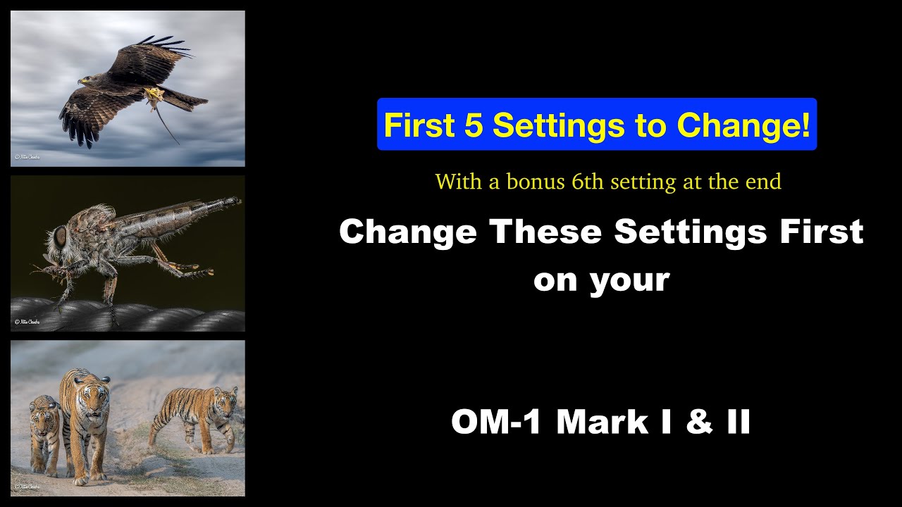 The First 5 Settings to change on your OM-1 Mark I and Mark 2