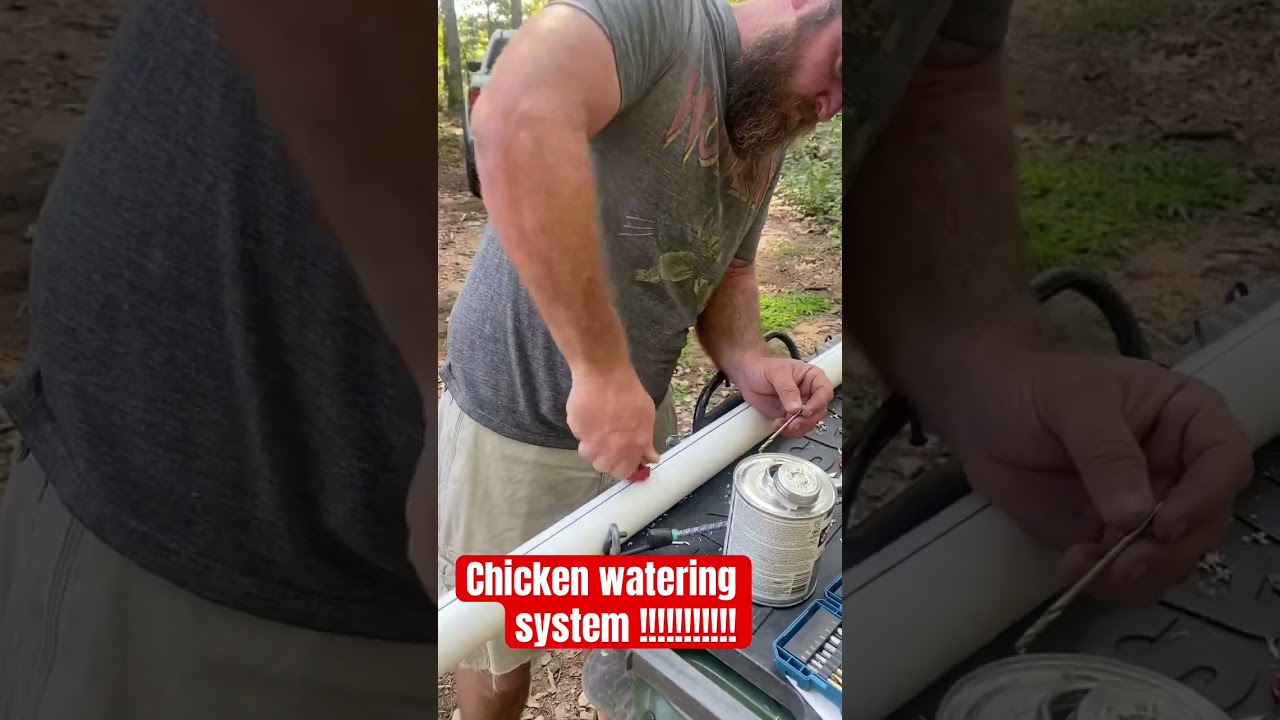 The Greatest Chicken Watering System ! #chickens #water #thepogues #carolinacoops, #nipples