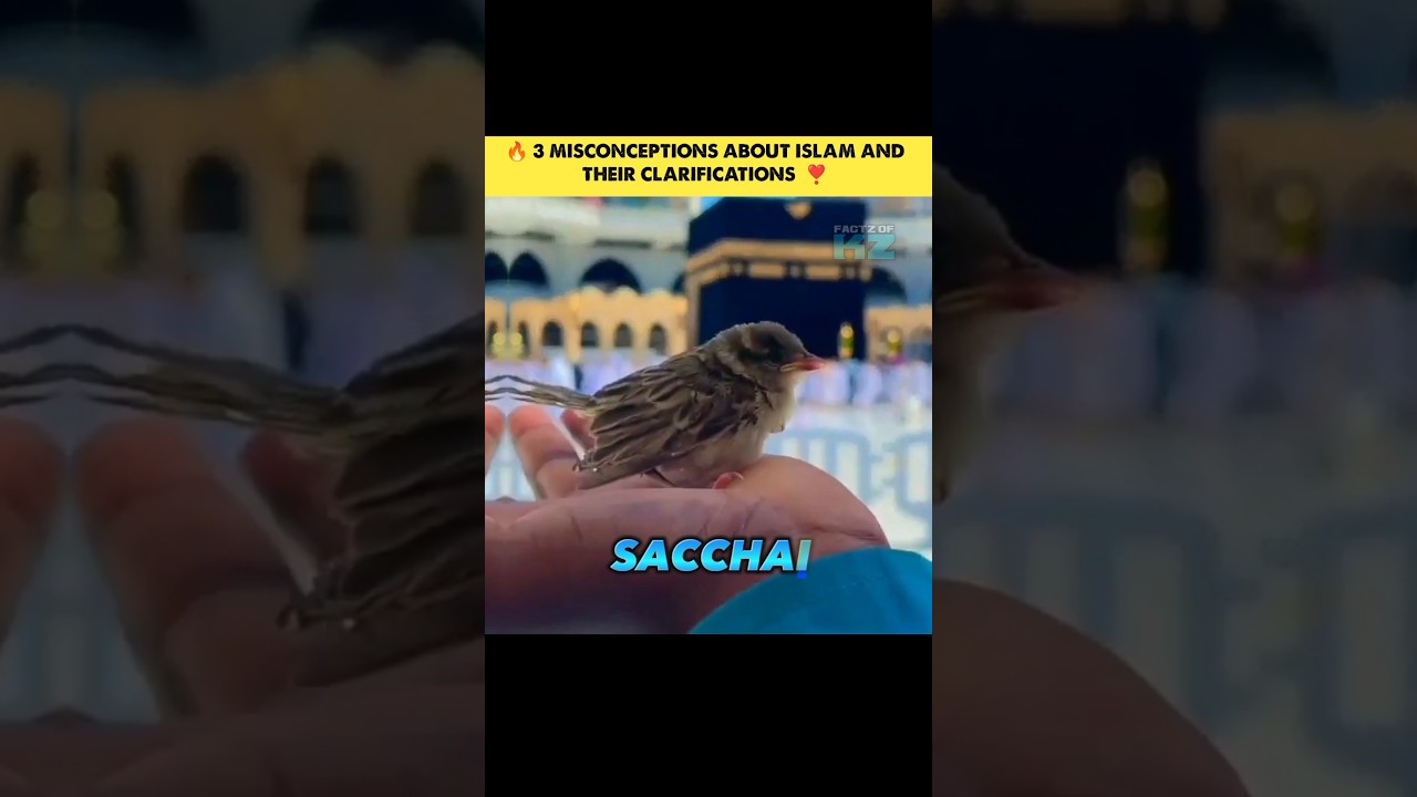🔥 3 Misconceptions About Islam and Their Clarifications ❣️ #shorts #islam #facts