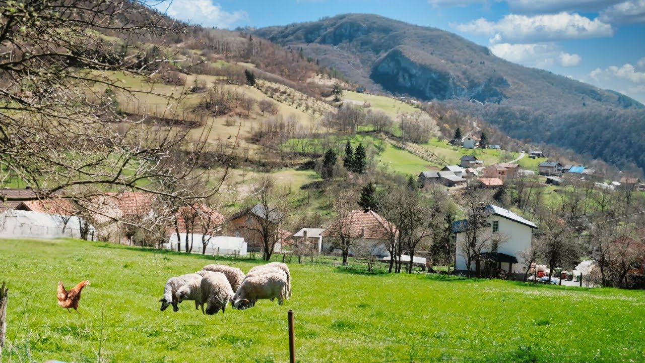 Seoska idila nedaleko od centra grada - za opuštanje