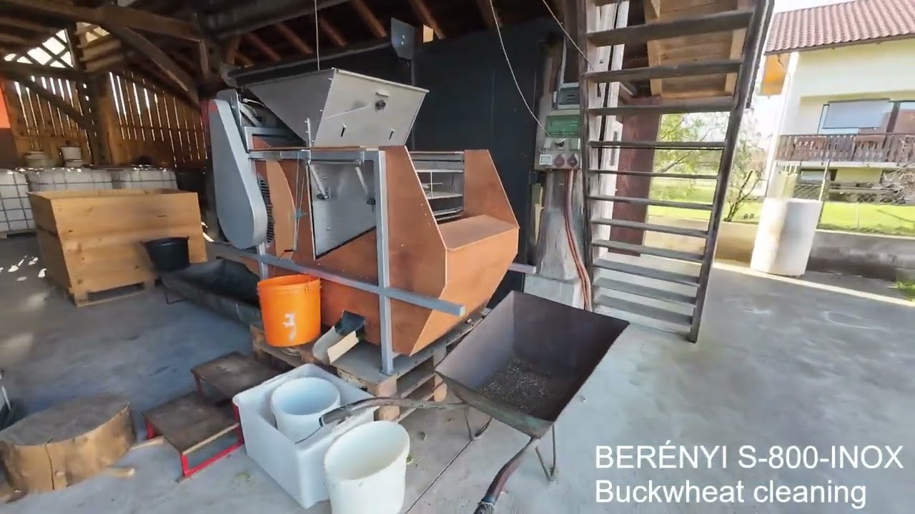 buckwheat cleaning 2025 (grano saraceno, sarrasin, buchweizen) with BERÉNYI S-800-INOX machine