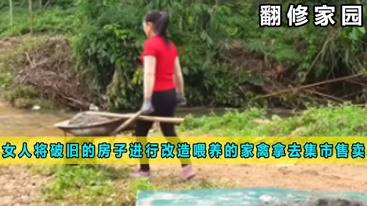 女人将破旧的房子进行改造喂养的家禽拿去集市售卖筹资金《翻修家园》01