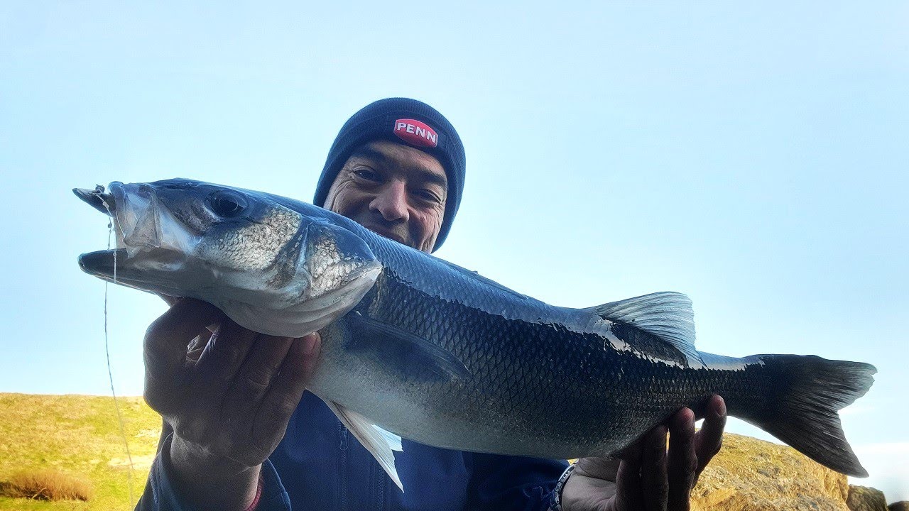Quand un poisson suffit à ton bonheur . Pêche du bar du bord aux leurres .