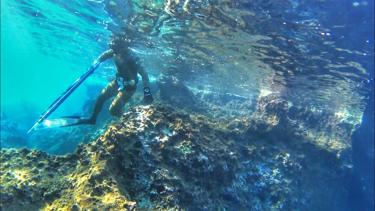 🇬🇷 Ψαροντούφεκο στον Μυστηριώδη Βυθό της Ελλάδας! - Spearfishing the Mysterious Greek Sea!