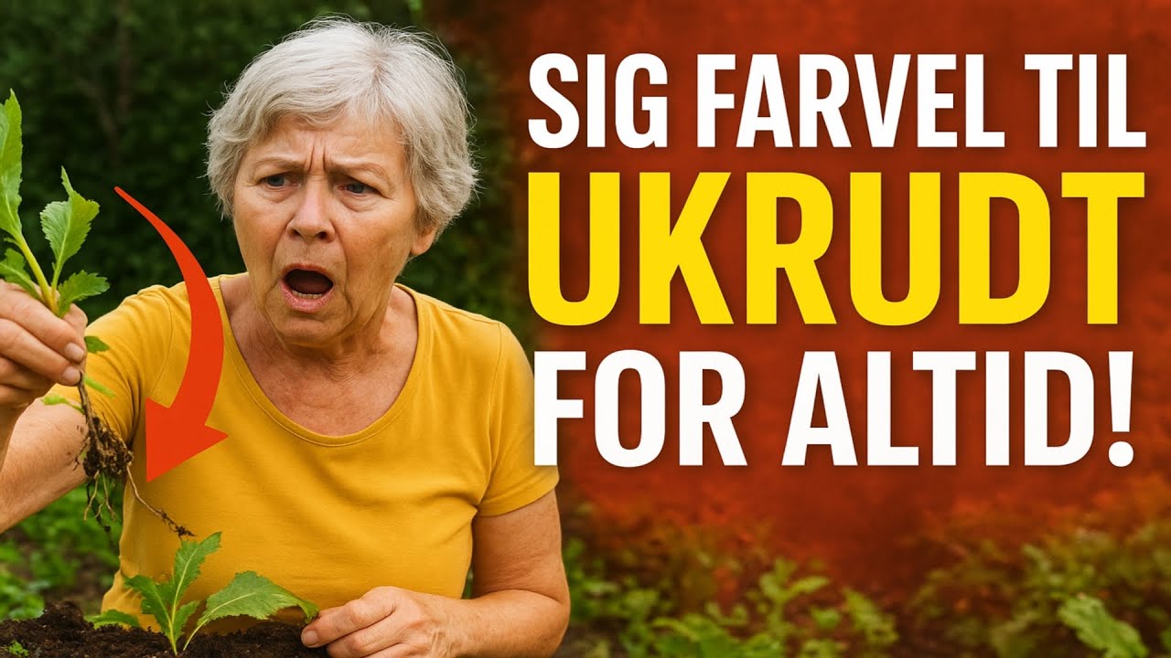 SIG FARVEL TIL UKRUDT FOR ALTID!
