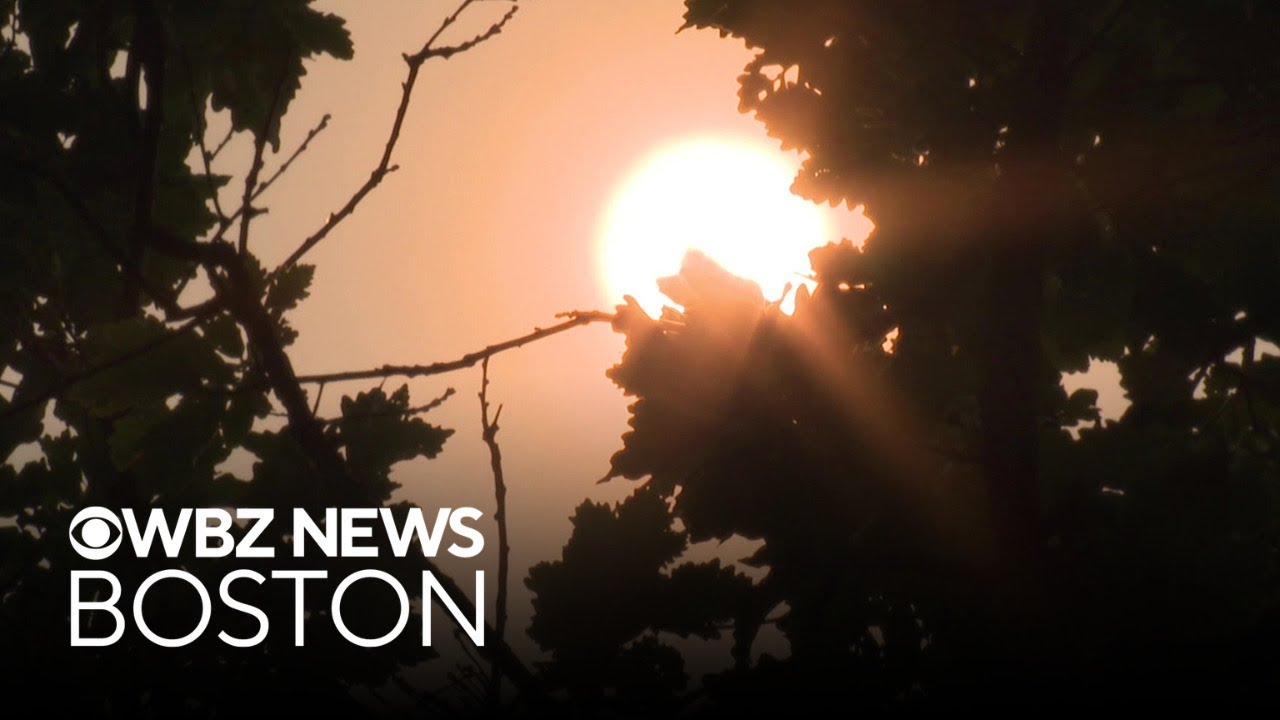 Wildfire smoke from Canada turns sky yellow in Boston, keeps temperatures cooler