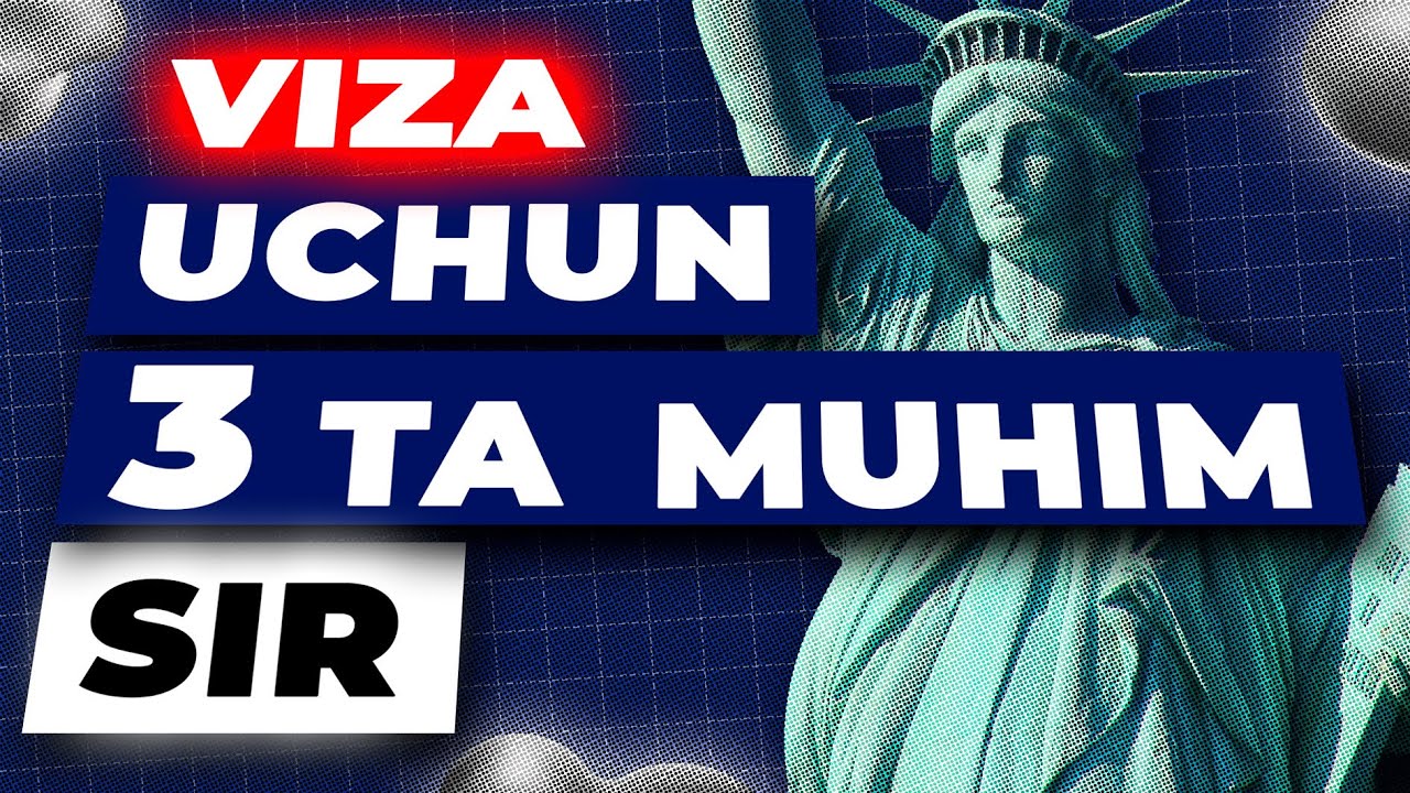 vizada 3 ta muhim point | viza jarayon | feyksiz hujjat