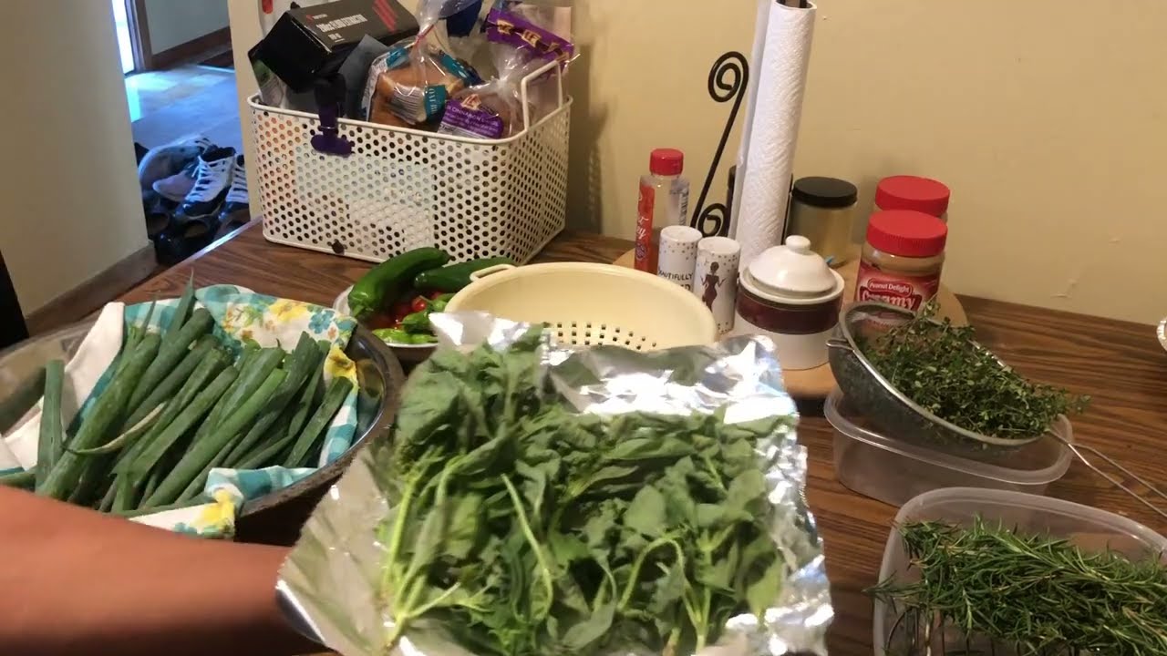 Preserve the Harvest. Air Fryer Dehydration