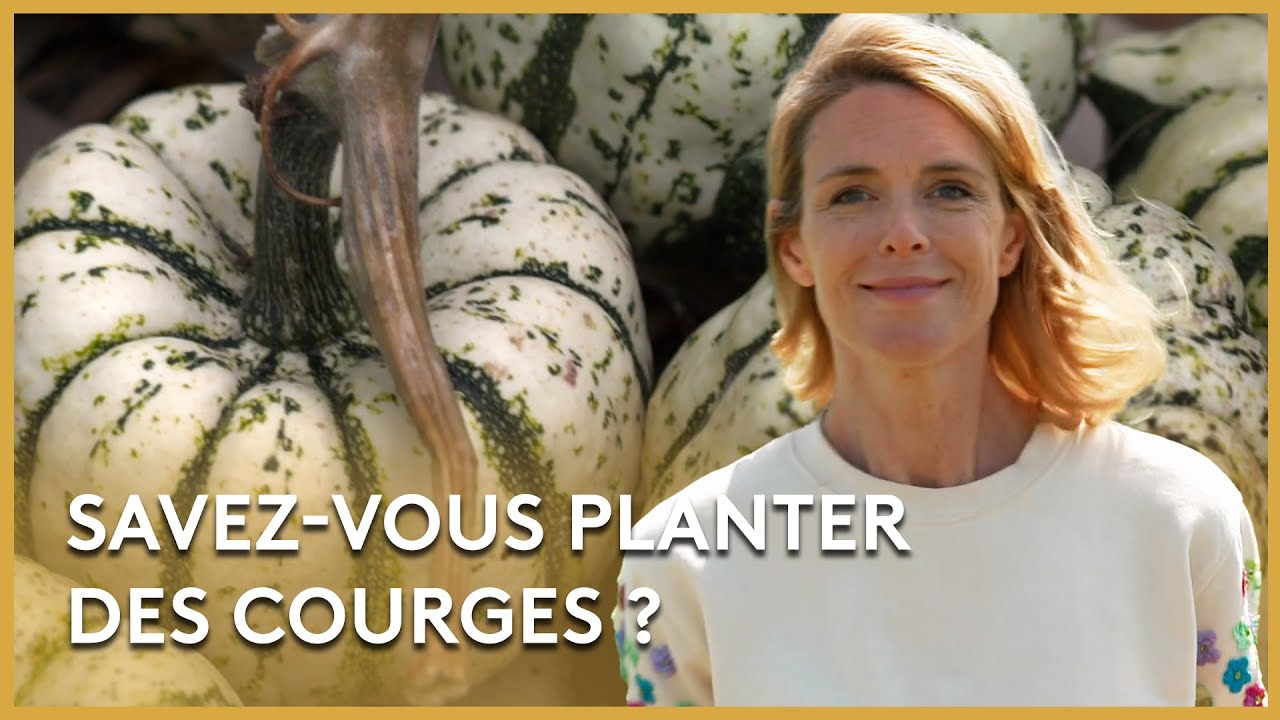 Le potager forêt du centre - Les Potagers de Julie