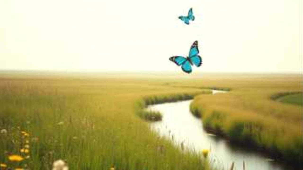 Aquarelle