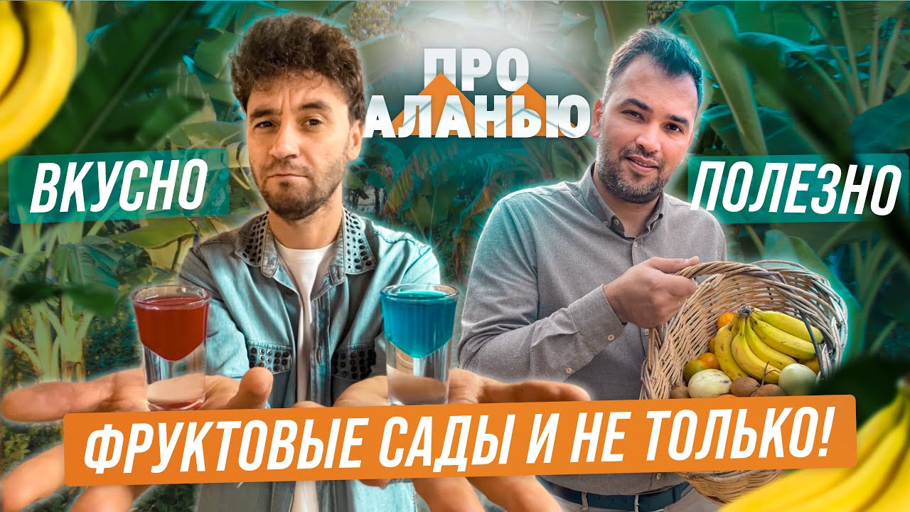 Сорви и ешь! Фруктовые сады Алании Турция. Все о фруктах Турции и что с ними делают в Алании