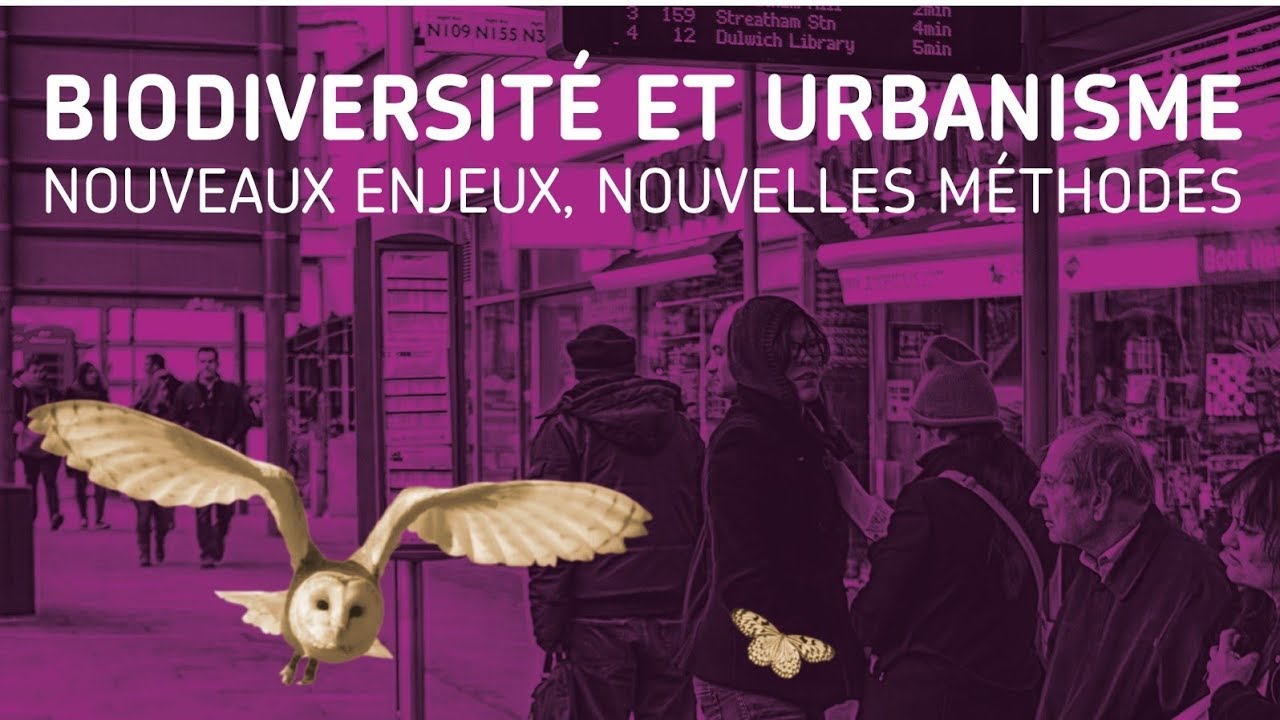 Planète-conférences - Biodiversité et urbanisme : nouveaux enjeux, nouvelles méthodes.