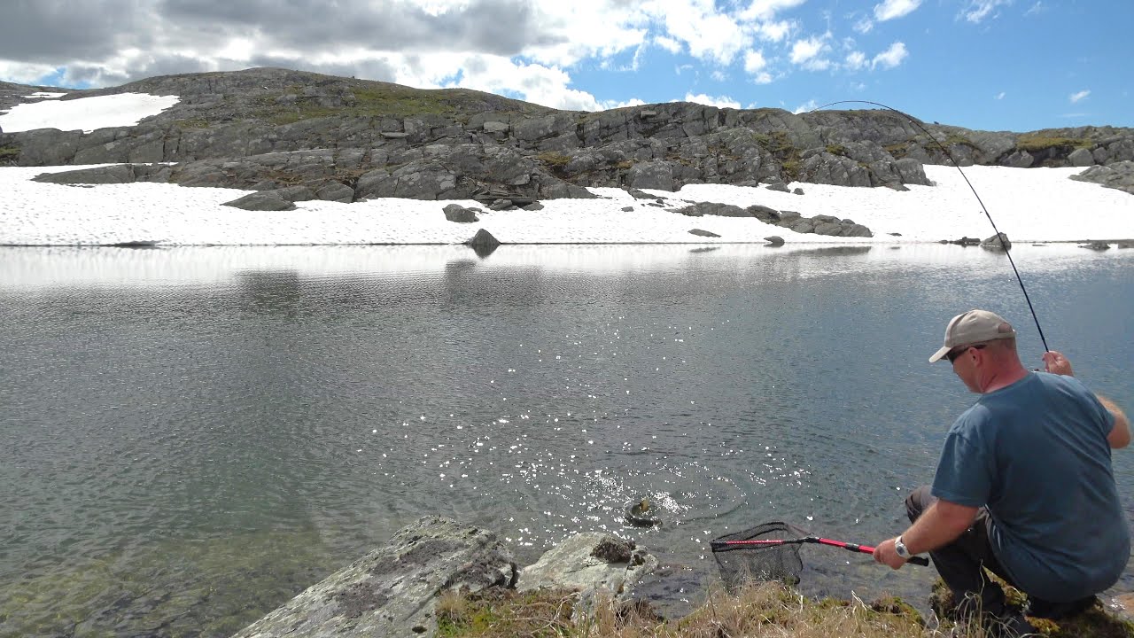 Sprek fjellørret iblant isflak og vindkast!