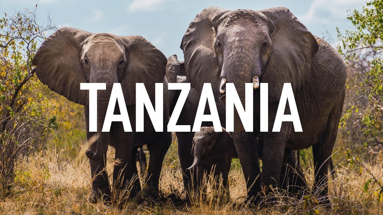 Un mes de viaje en TANZANIA - Ruta y consejos de viaje: Qué ver en un mes en Tanzania
