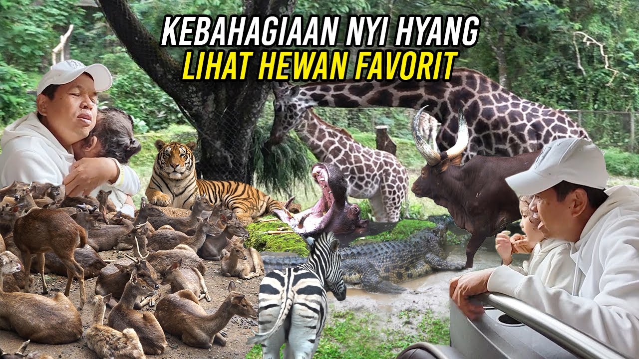 KEBAHAGIAAN NYI HYANG | LIHAT HEWAN KEGEMARAN DAN BUAYA FAVORIT