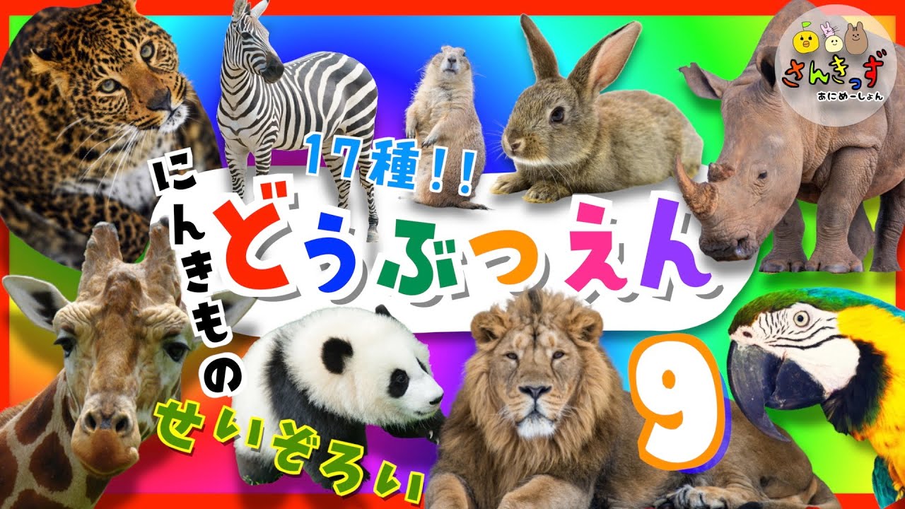 【子供向け どうぶつアニメ】動物園へ行こう！part9☆どうぶつえんで人気の17種類の動物大集合！ライオン キリン パンダの赤ちゃん 勢揃い｜動く動物図鑑で動物の名前を覚えよう◎ 【動物 知育動画】