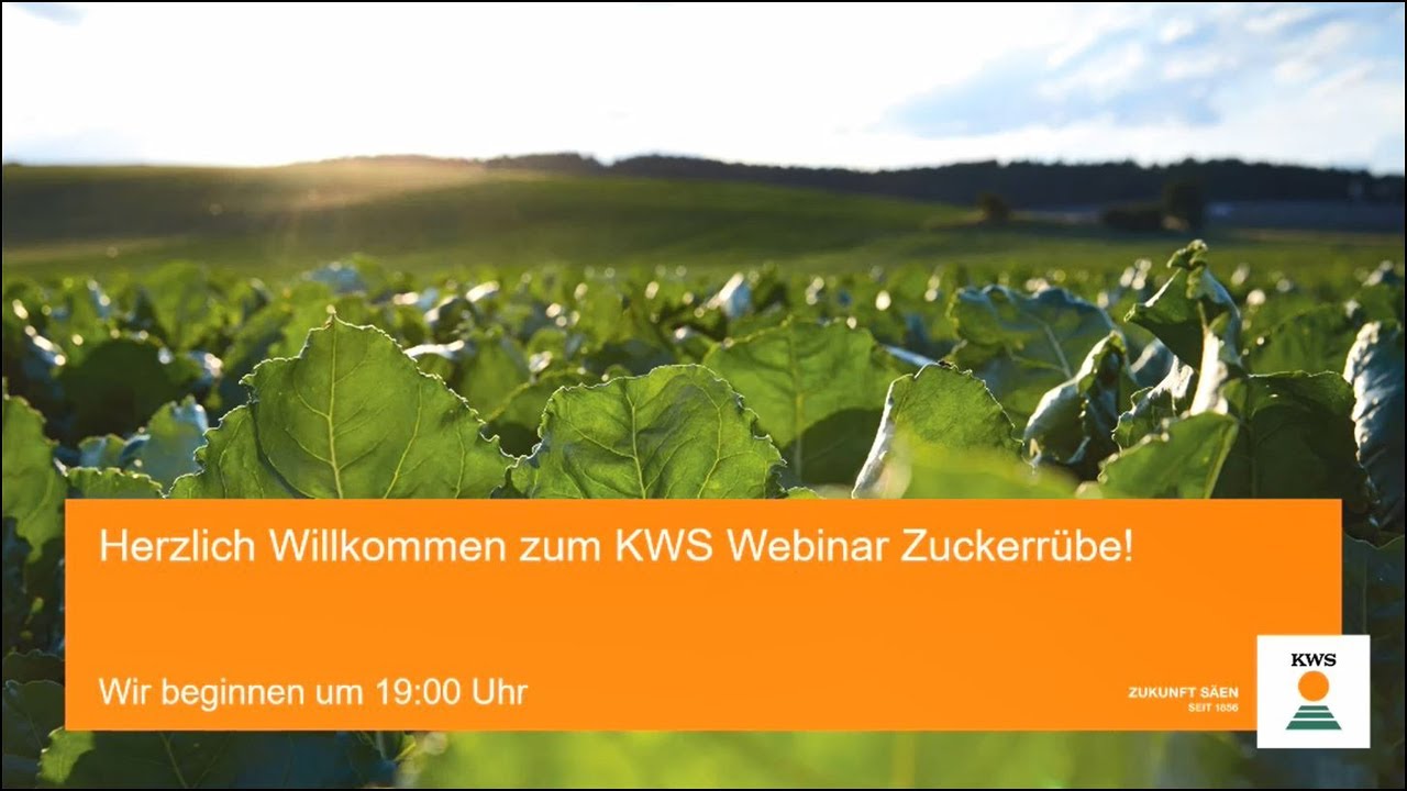 KWS Webinar Zuckerrübe -Rübenanbau-Tipps & Sortenempfehlungen für 2021 für Plattling & Rain a.L.