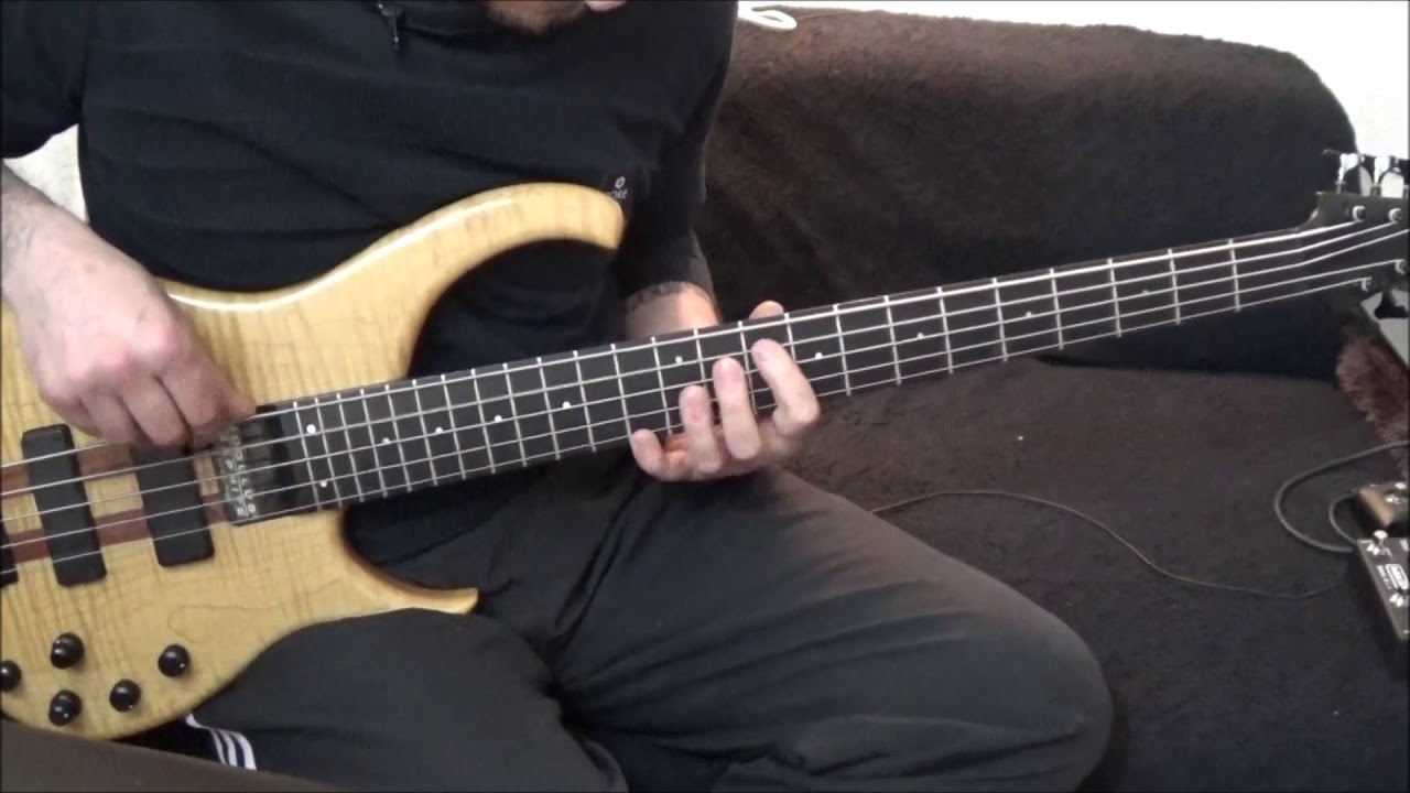 Metallica - Broken Beat & Scarred (Bass cover)