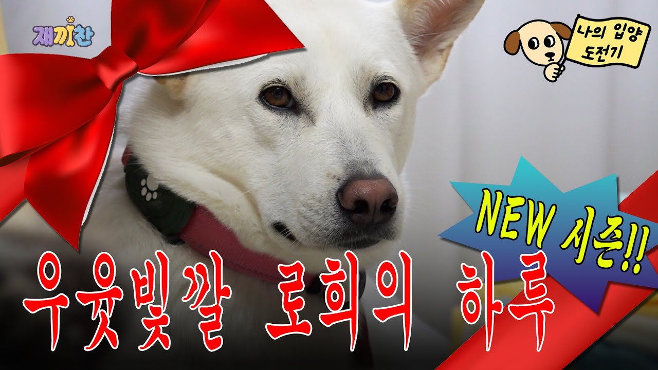 얌전 모드 장착 완료, 가족만 있으면 돼요 I'm done with the quiet patch. I just need to save my family