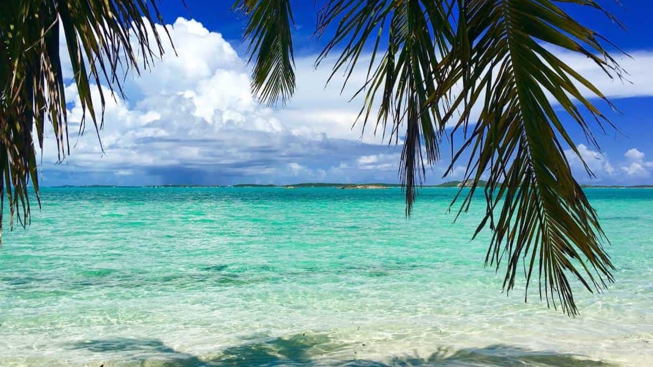 Bimini Bahamas Caribbean Island Tour
