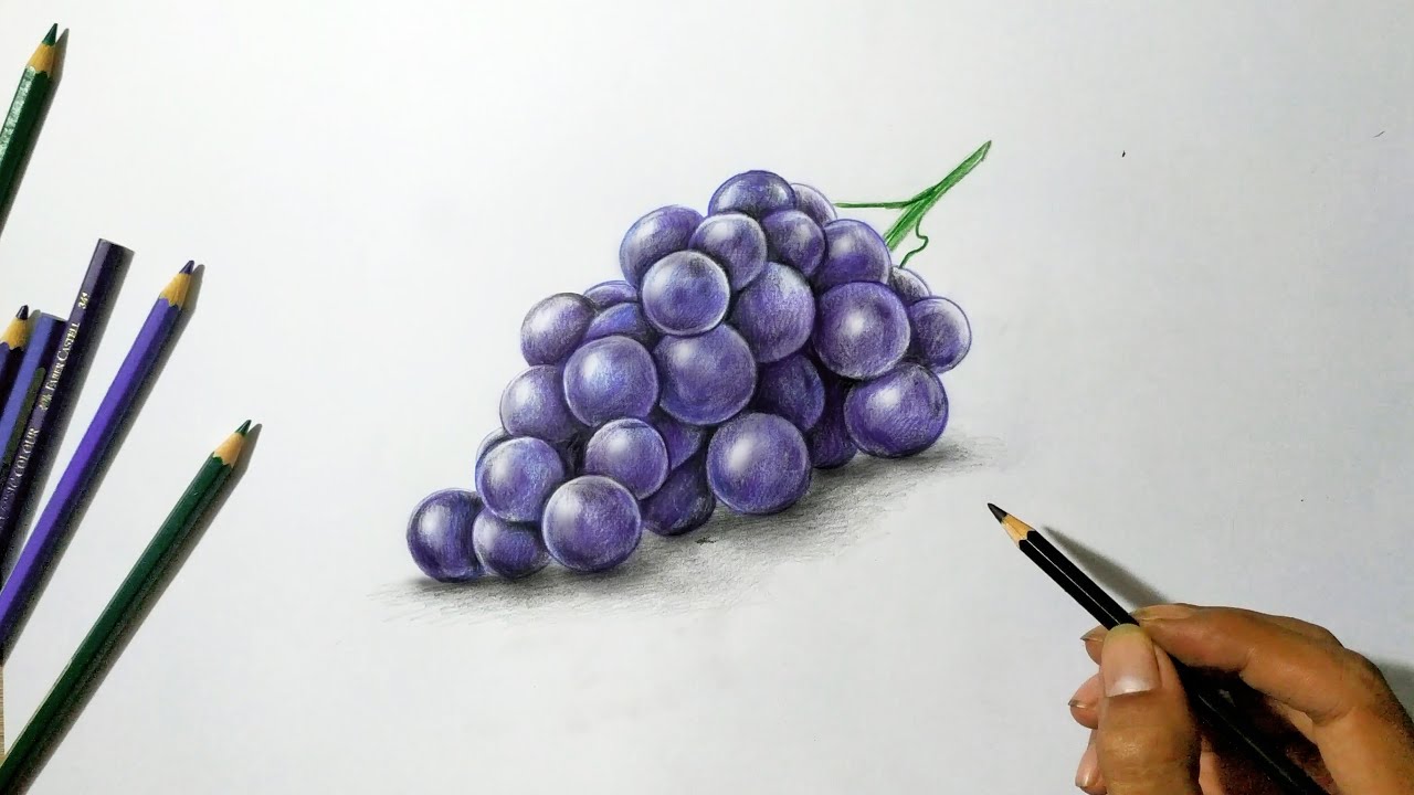 Lukisan 3d | Menggambar Buah Anggur dengan Pensil warna