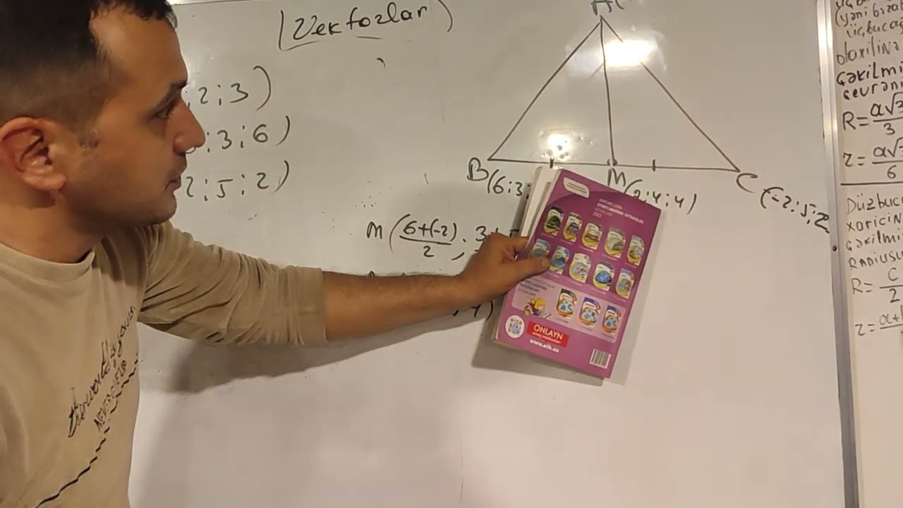Vektorlar test toplusu