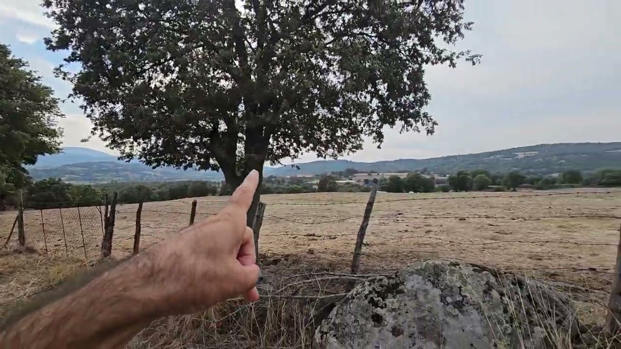 Satılık tarla 14350 metre