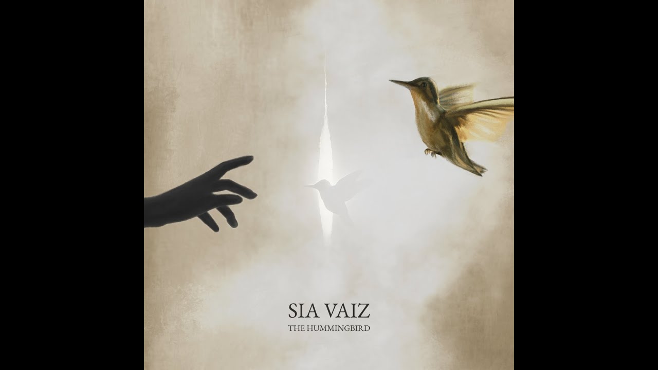 Sia Vaiz - The Hummingbird - Lyric Video