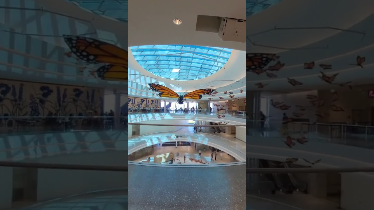 Mall of America 🇺🇸  #america #mall #shorts