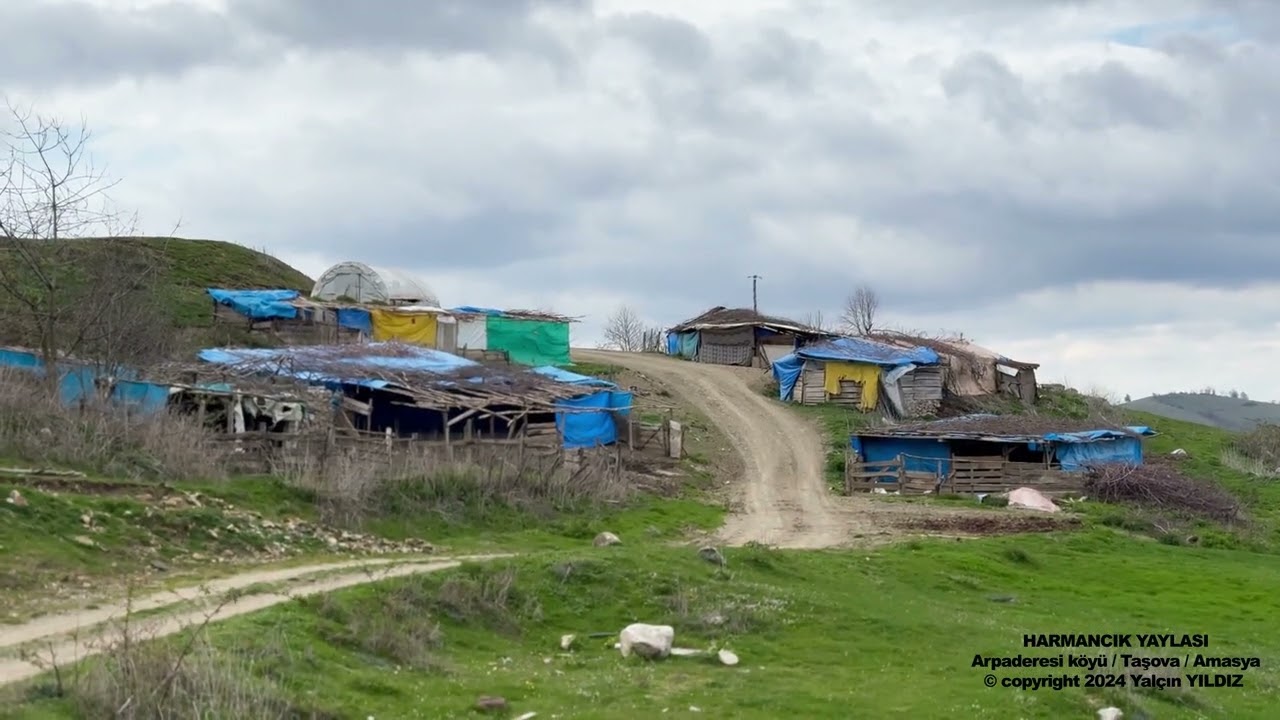 ARPADERESİ KÖYÜ HARMANCIK YAYLASI 4K TAŞOVA / AMASYA DJI COMBO ve IPHONE 15 PROMAX