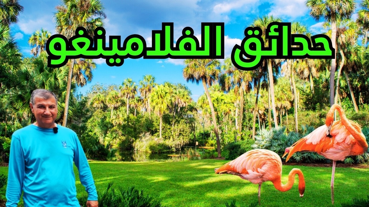 يبن طيور الفلامينغو والأشجار العملاقة أجمل يوم في فورت لاديرديل! 🦩🌴