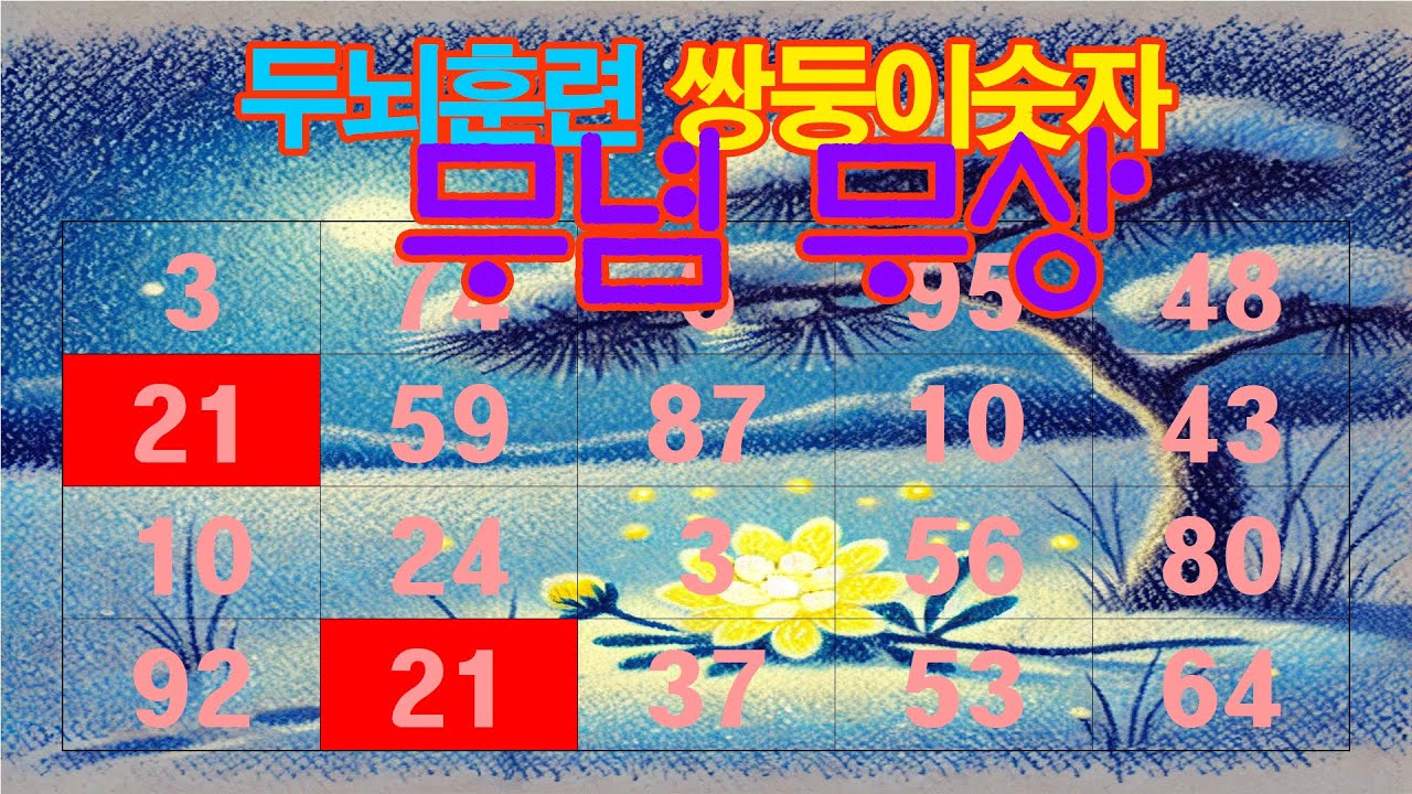 무념 무상 두뇌훈련 쌍둥이숫자,같은숫자찾기,치매예방, 두뇌훈련퀴즈,숫자퀴즈,집중력향상,자신감향상.인지능력개,관찰력향상,스트레스감소