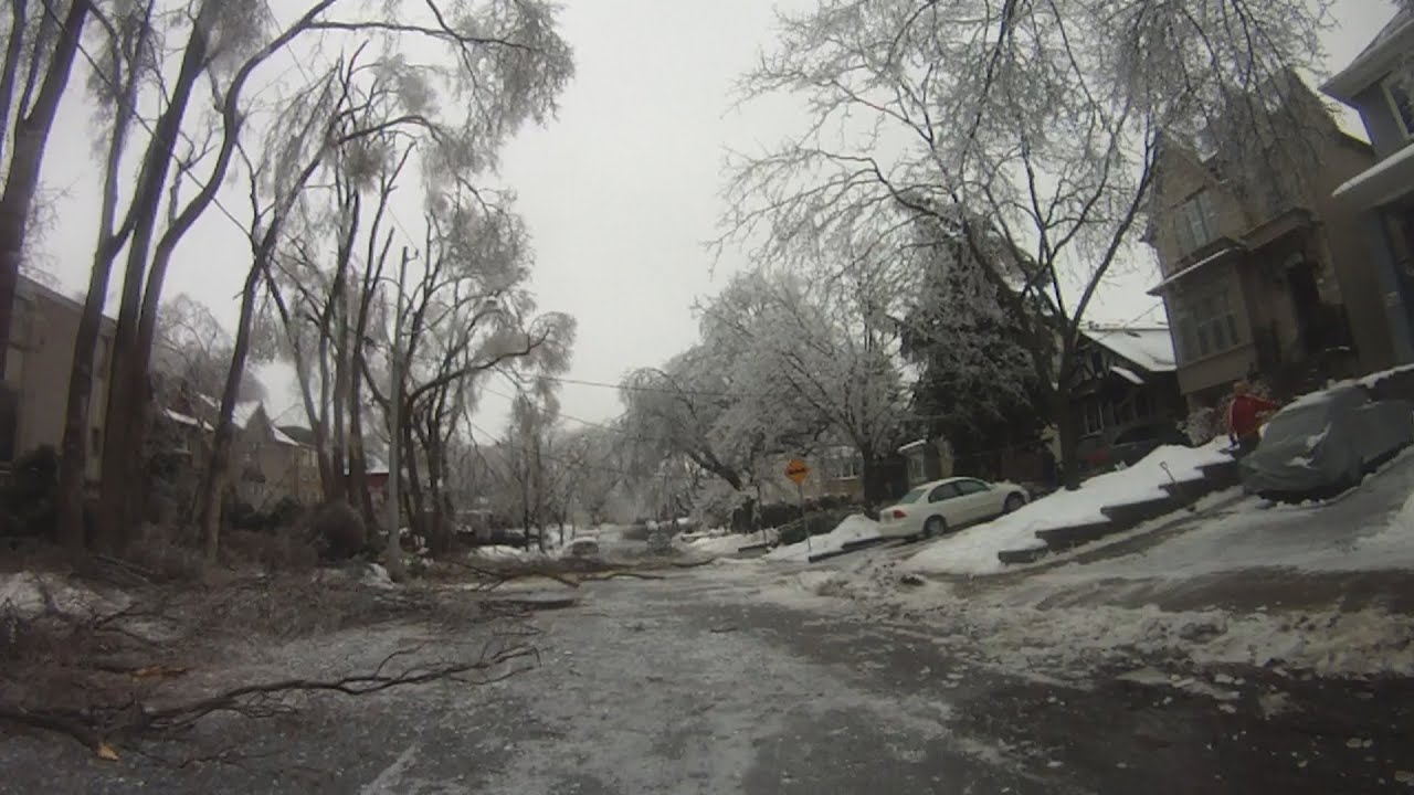 Investigating the Toronto Ice Storm Damage by Bicycle - December 22nd, 2013