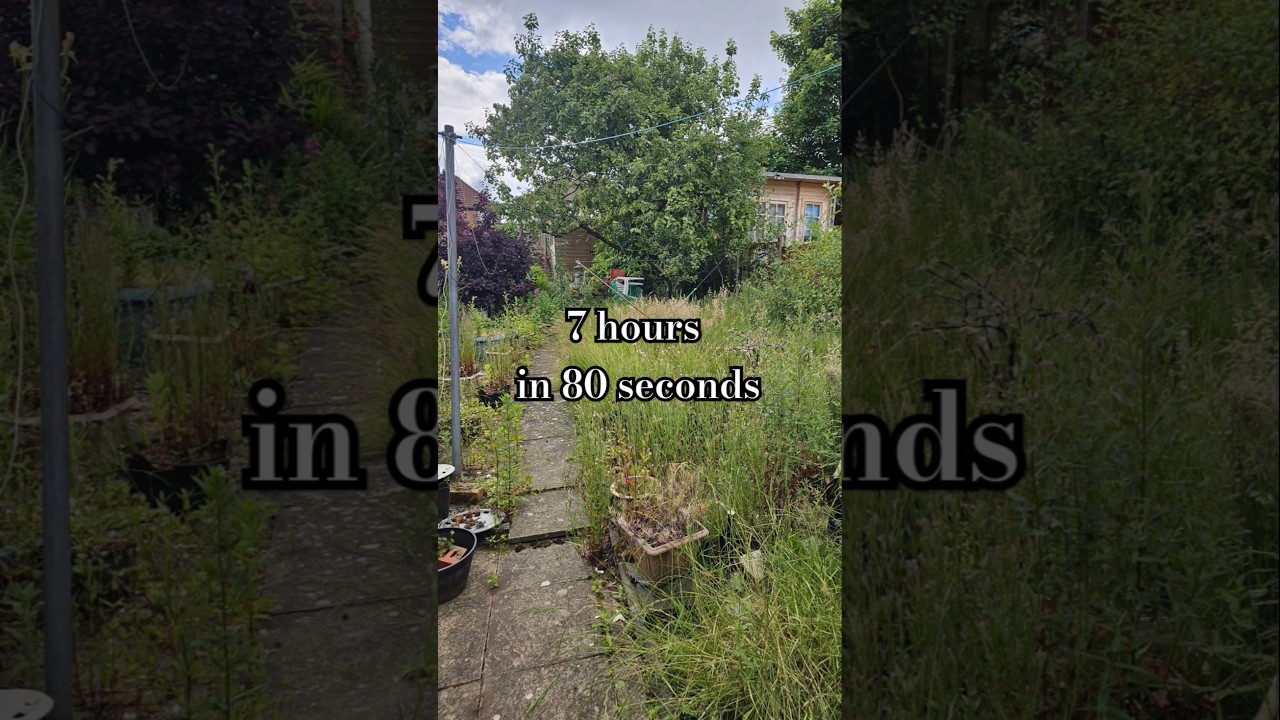 7 hour garden clean up in 80 seconds👨🏽&zwj;🌾Song:Views by @iksonmusic #powerwashing #satisfying #shorts