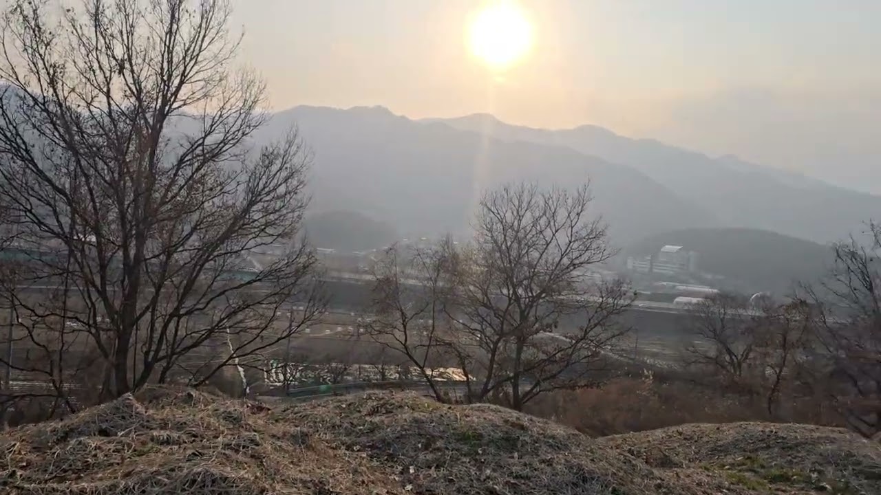 능암탄산온천 뒤에 임야 경매 임장했습니다 탄산온천이랑 함게 나온 경매물건인데 임야는 좋은 임야네요
